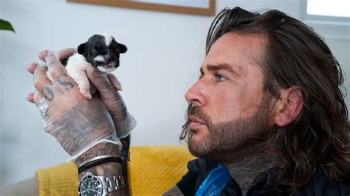TOWIE: Gatsby starts HILARIOUS feud with Pete Wicks King of Essex Mon 9 April 2018 07